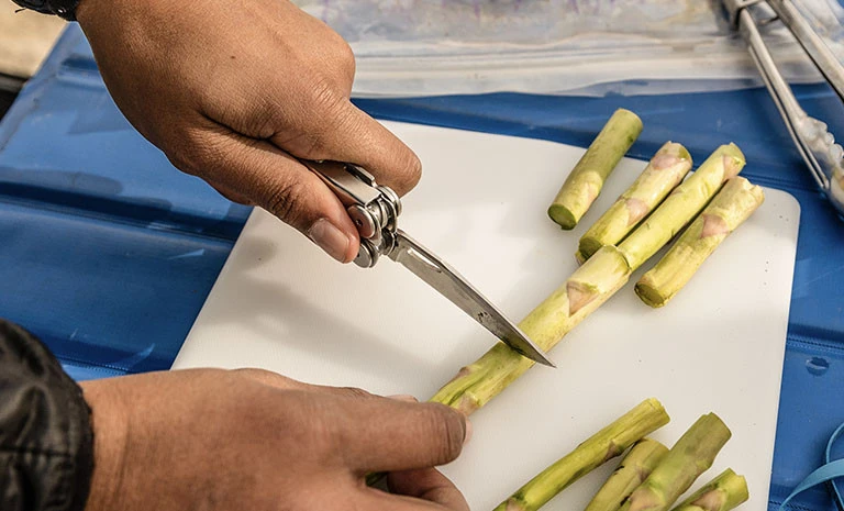 Leatherman Curl Leatherman Curl -Magasin Aventure Nordique multi outil pince multifonction leatherman curl 03 1