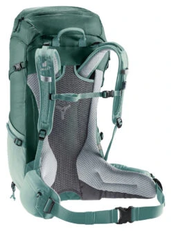 Deuter Futura 30 SL -Magasin Aventure Nordique sac a dos deuter futura 30 sl 3