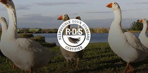 Sea to Summit Ascent ACIII Sea To Summit Ascent ACIII -Magasin Aventure Nordique sac de couchage sea to summit ascent aciii 11