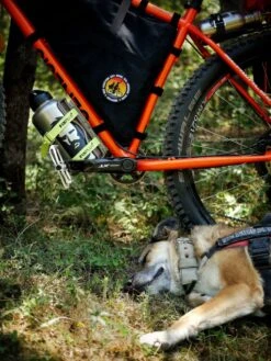 Sangle Fixplus Strap -Magasin Aventure Nordique sangle fixplus strap 07