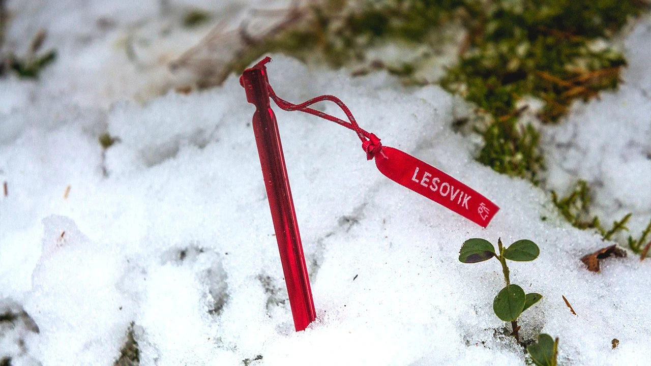 Lesovik Spig Peg Lesovik Spig Peg -Magasin Aventure Nordique sardine piquet en aluminium lesovik spig ul peg 04 1