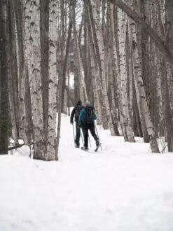 Madshus Panorama M68 (Epoch 68) -Magasin Aventure Nordique skis madshus panorama m68 03