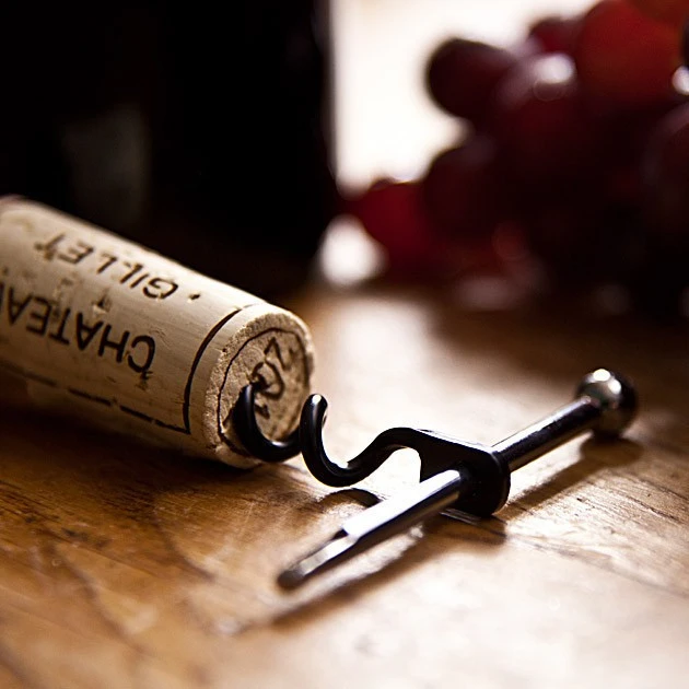 True Utility Twistick True Utility Twistick -Magasin Aventure Nordique tire bouchon twistick true utility 06